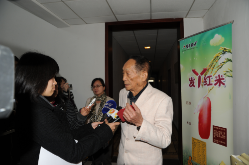神农金匮方 GABA胚芽灵芝膳食粉 袁农密码 袁农1号